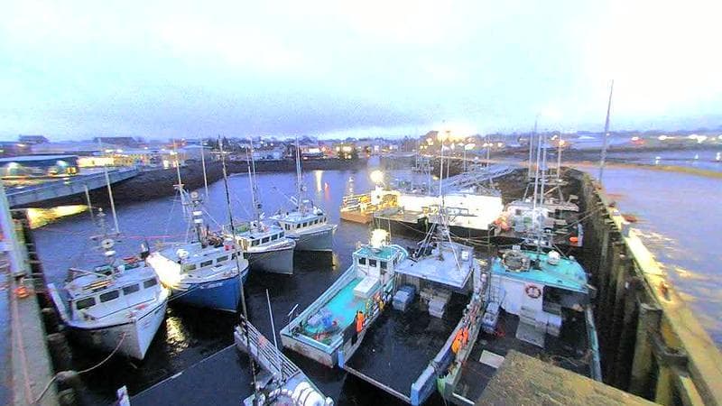 Lobster Rock Wharf East