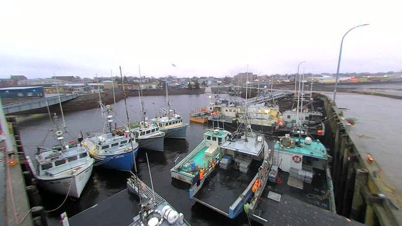 Lobster Rock Wharf East