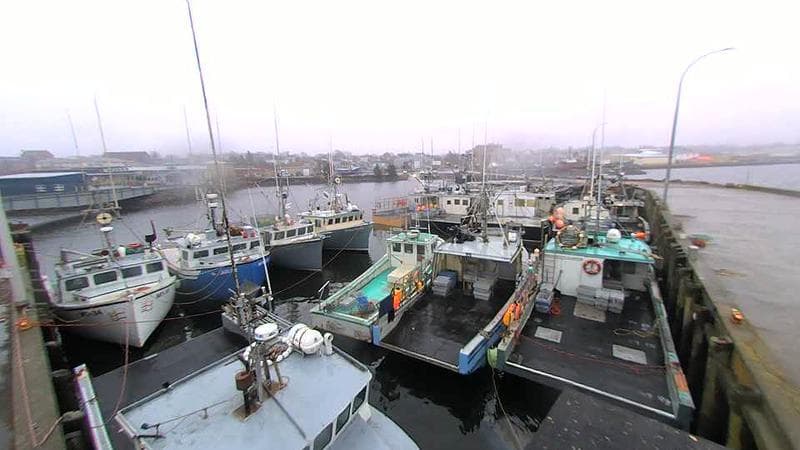 Lobster Rock Wharf East