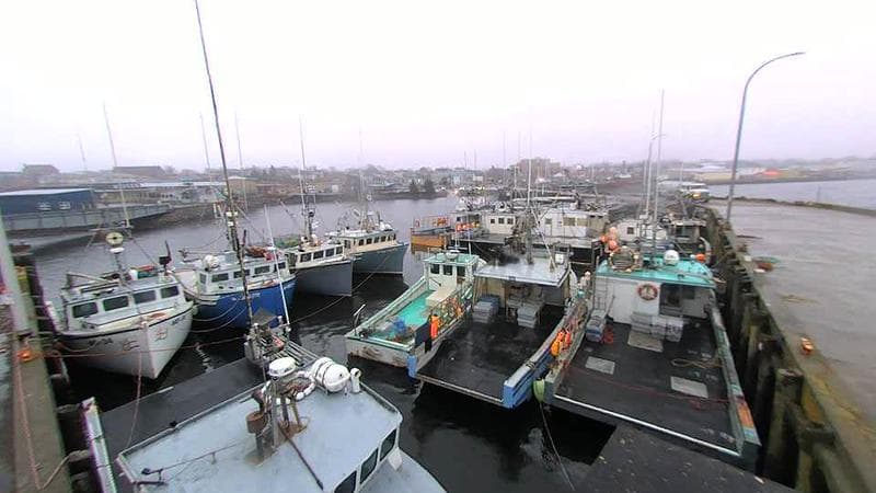 Lobster Rock Wharf East