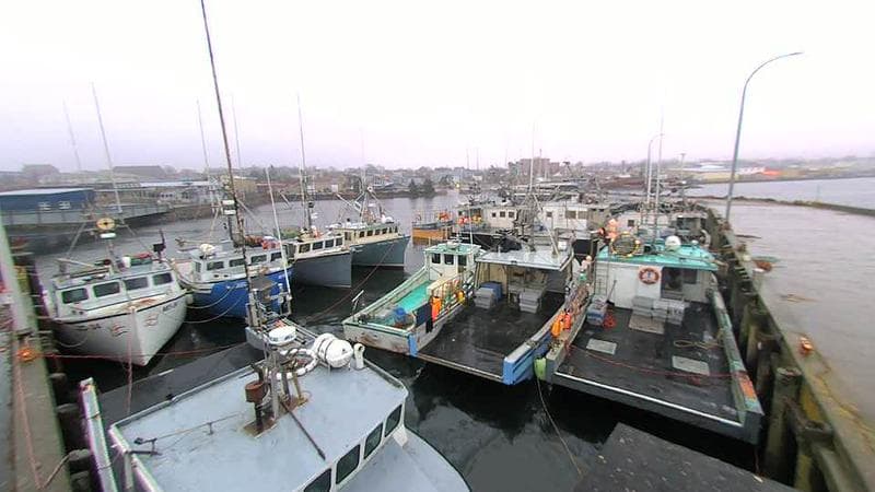 Lobster Rock Wharf East