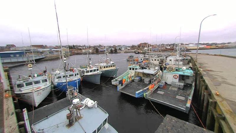Lobster Rock Wharf East