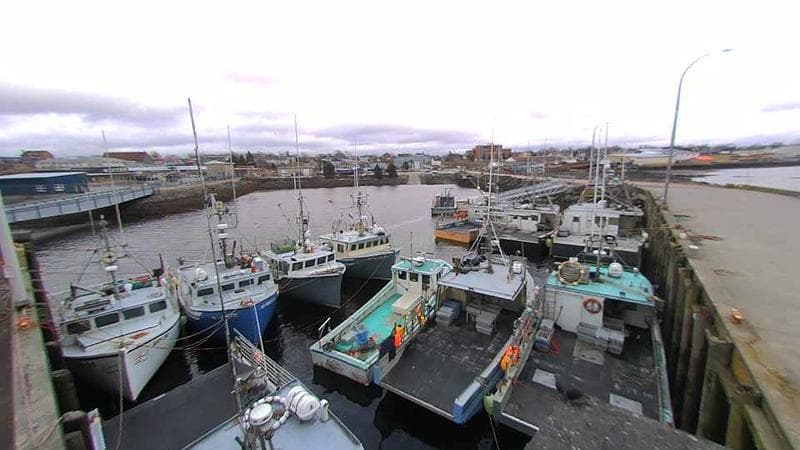 Lobster Rock Wharf East