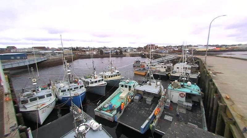 Lobster Rock Wharf East
