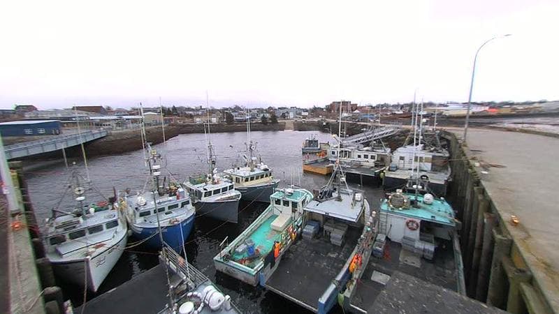 Lobster Rock Wharf East