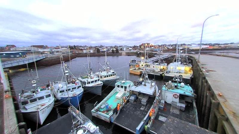 Lobster Rock Wharf East