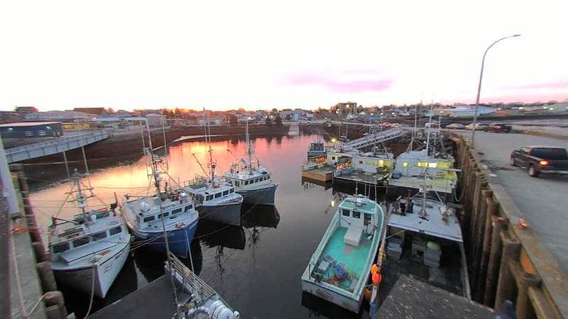 Lobster Rock Wharf East