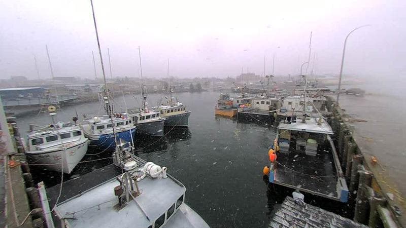 Lobster Rock Wharf East