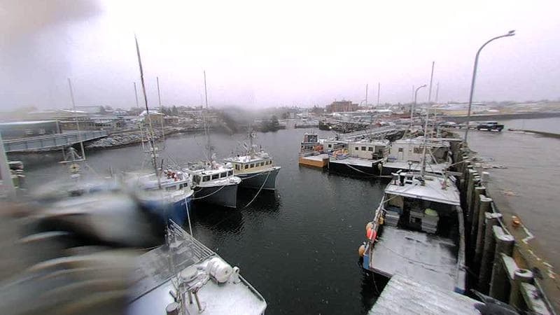 Lobster Rock Wharf East