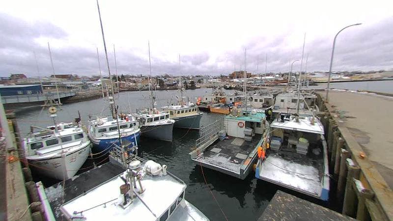 Lobster Rock Wharf East