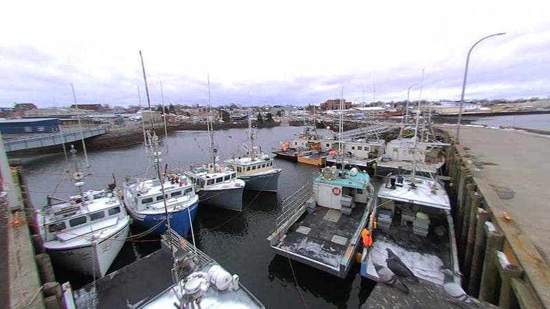 Lobster Rock Wharf East