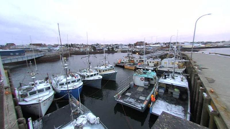 Lobster Rock Wharf East