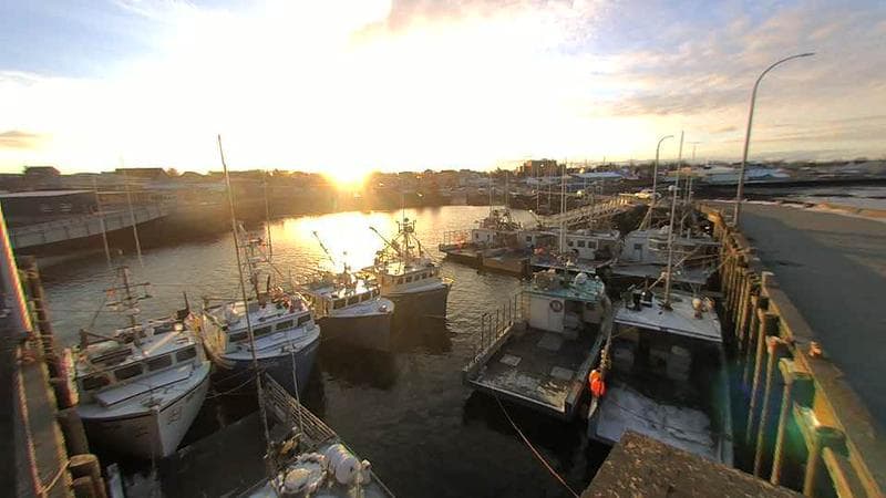 Lobster Rock Wharf East