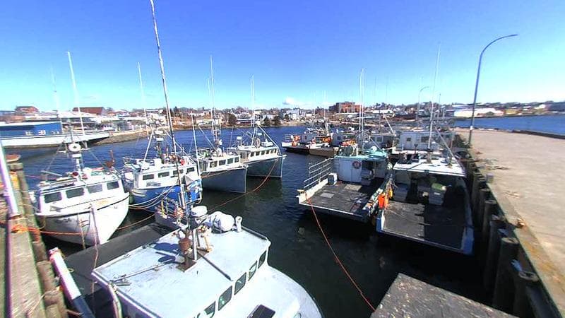 Lobster Rock Wharf East