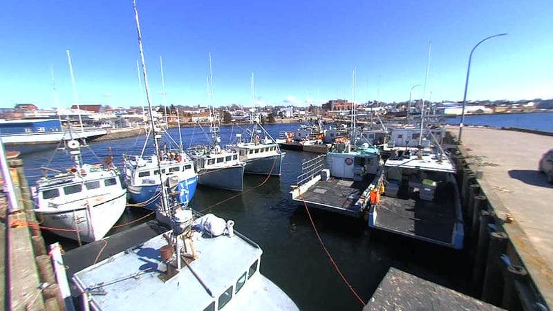 Lobster Rock Wharf East