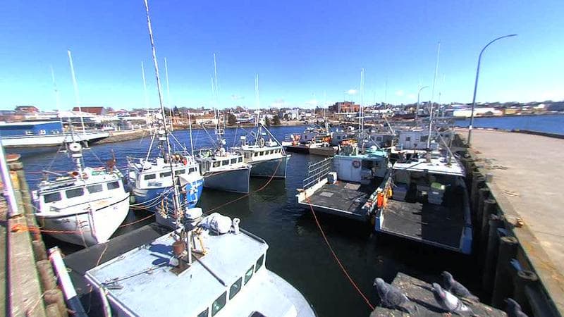 Lobster Rock Wharf East