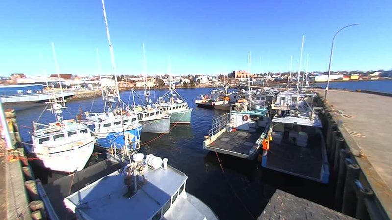 Lobster Rock Wharf East