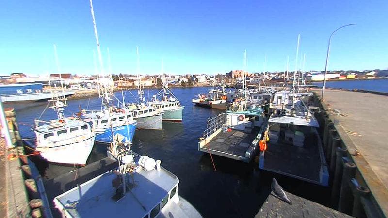 Lobster Rock Wharf East