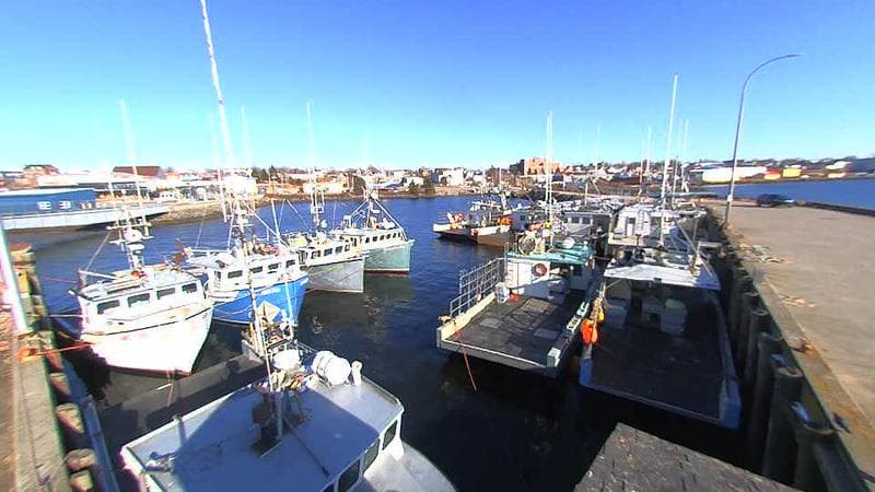Lobster Rock Wharf East