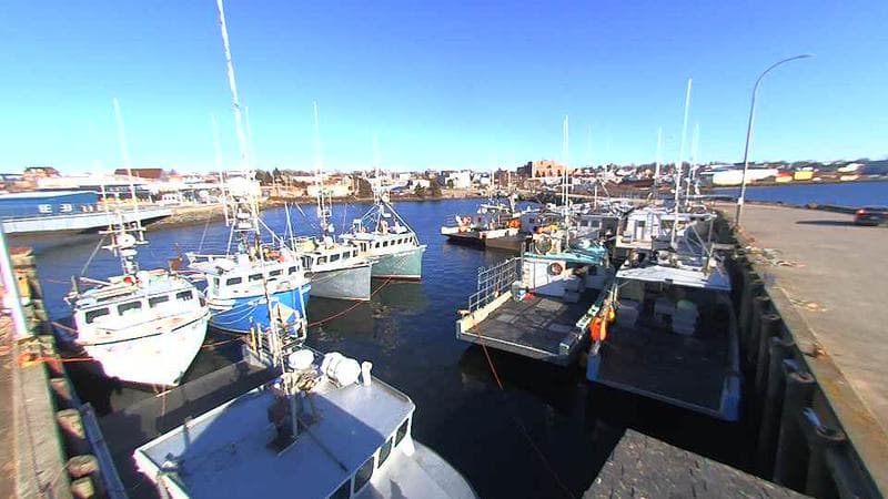 Lobster Rock Wharf East