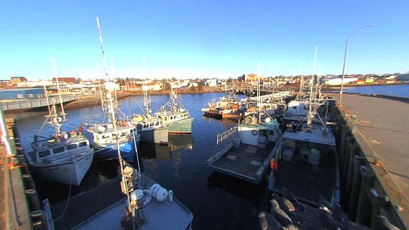 Lobster Rock Wharf East