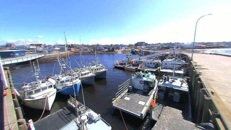 Lobster Rock Wharf East