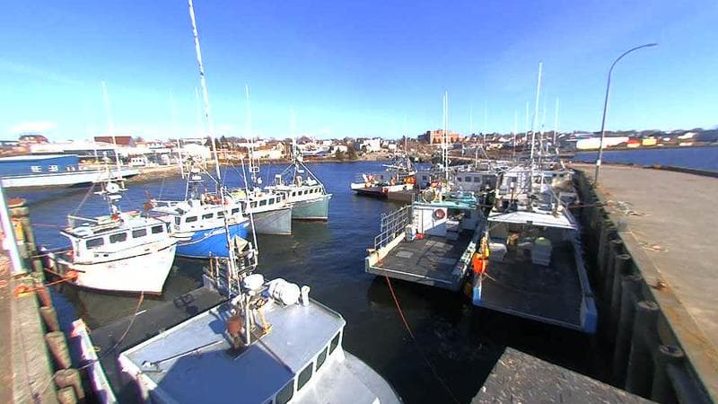 Lobster Rock Wharf East