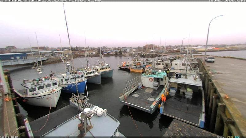 Lobster Rock Wharf East