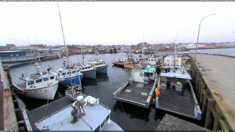 Lobster Rock Wharf East