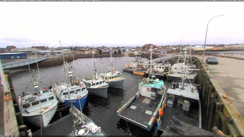 Lobster Rock Wharf East