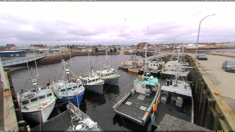 Lobster Rock Wharf East