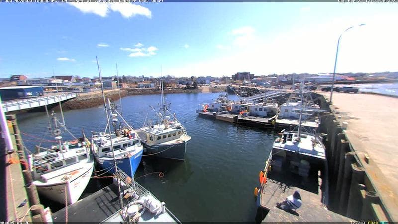 Lobster Rock Wharf East