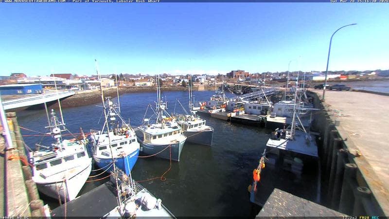 Lobster Rock Wharf East