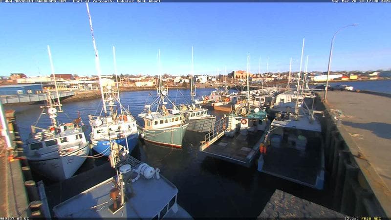Lobster Rock Wharf East
