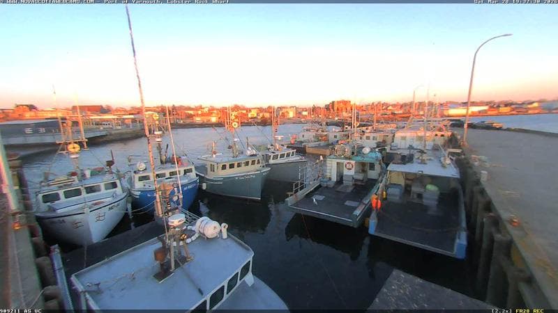 Lobster Rock Wharf East