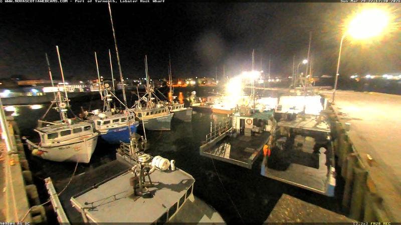 Lobster Rock Wharf East