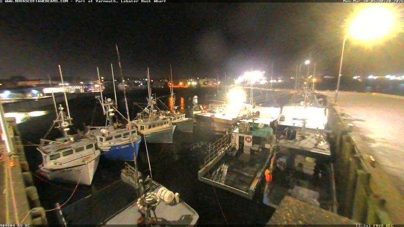 Lobster Rock Wharf East