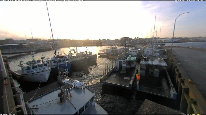 Lobster Rock Wharf East