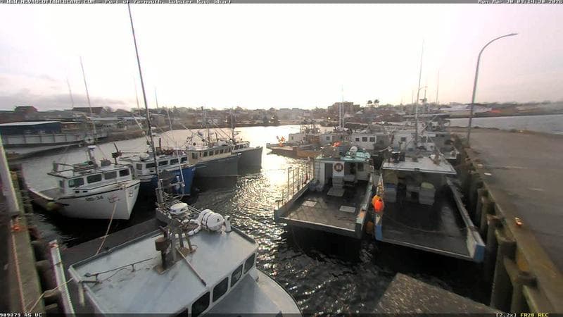 Lobster Rock Wharf East