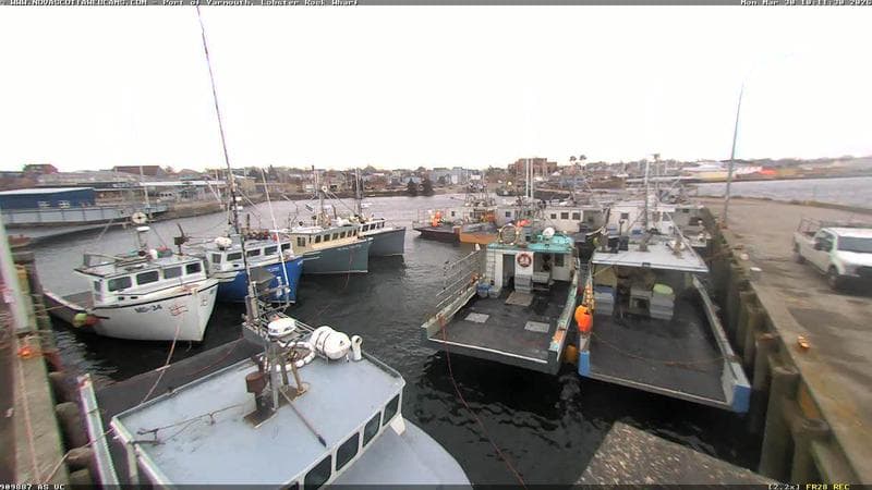 Lobster Rock Wharf East