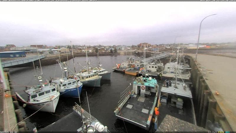 Lobster Rock Wharf East