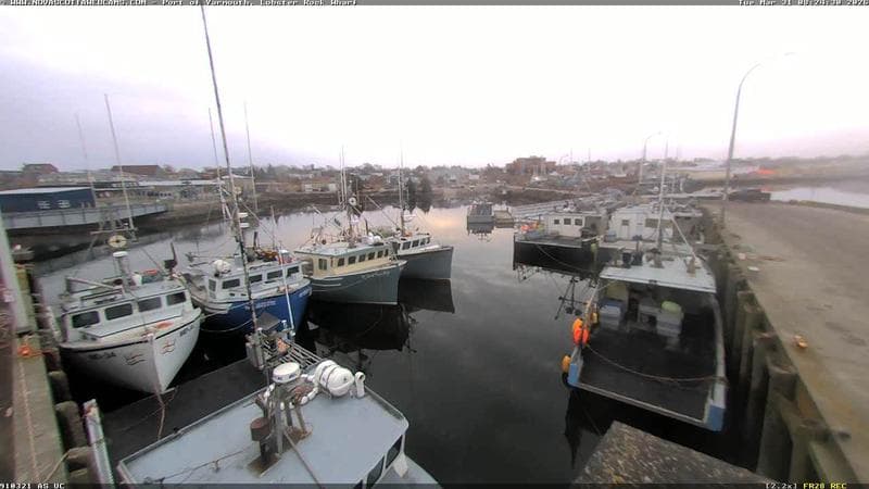 Lobster Rock Wharf East