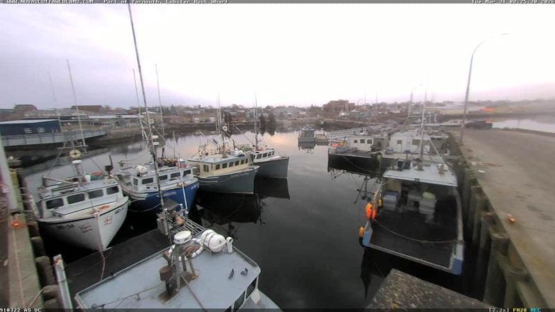 Lobster Rock Wharf East