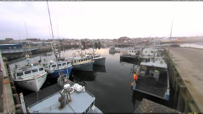 Lobster Rock Wharf East
