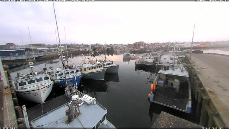 Lobster Rock Wharf East