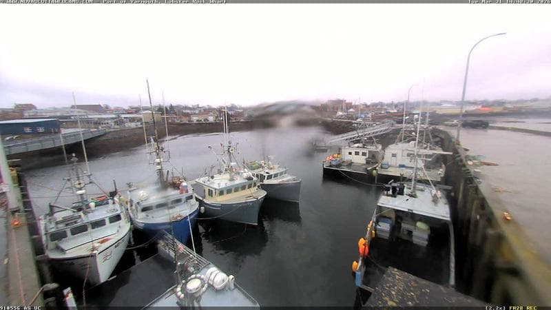 Lobster Rock Wharf East