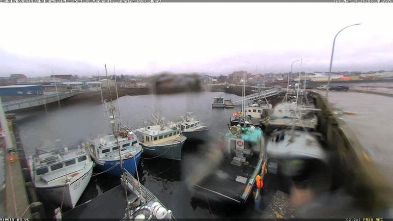 Lobster Rock Wharf East