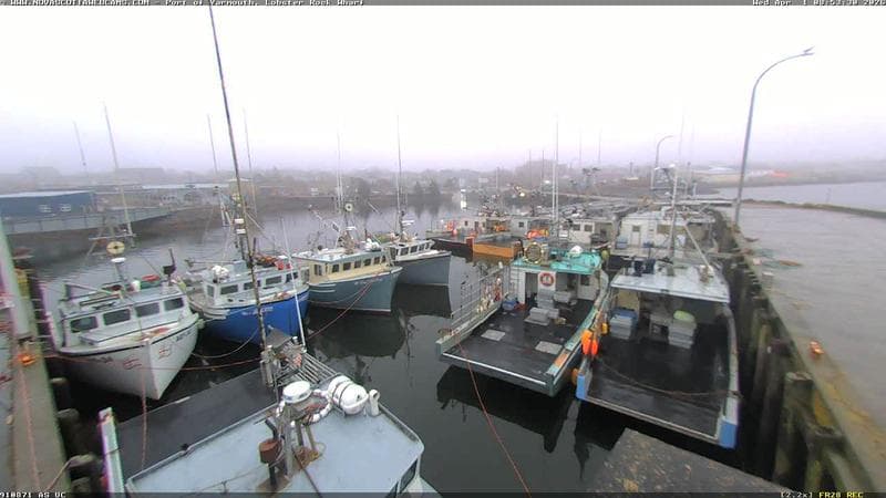 Lobster Rock Wharf East