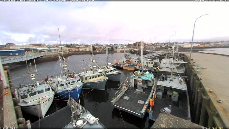Lobster Rock Wharf East