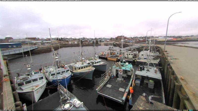 Lobster Rock Wharf East